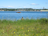 Vallø båthavn sett fra Torgersøya